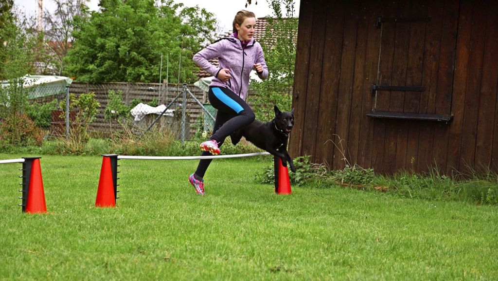 Hundesport in Stuttgart-Vaihingen: Viel mehr als Sitz und Platz