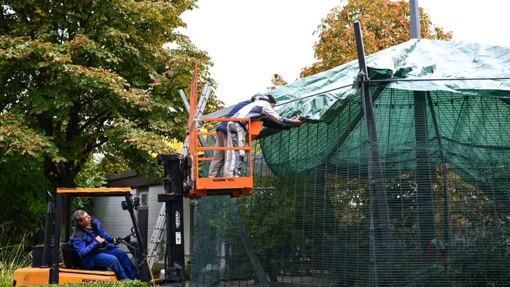 Luisenpark in Mannheim: Weitere Vögel im Park getötet