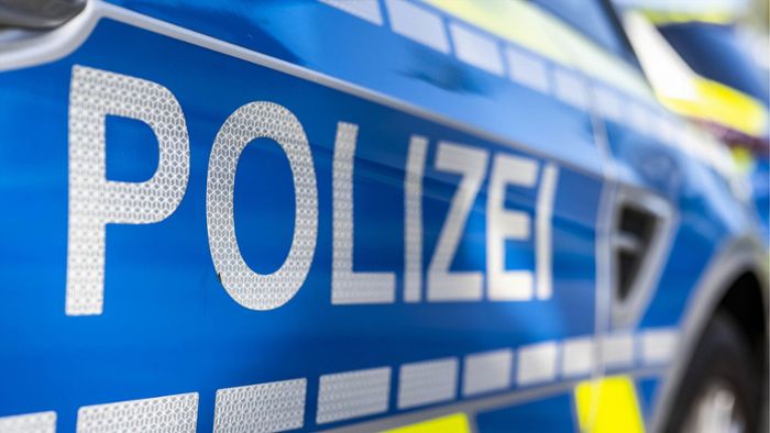 Dieb in Steinheim und Murr: Polizei fasst mutmaßlichen Täter dank Zeugenhinweisen