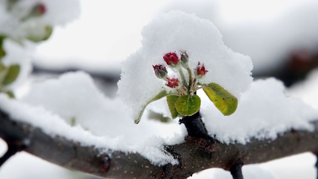 Wetter in Baden-Württemberg: Der Winter schlägt mit aller Macht zu