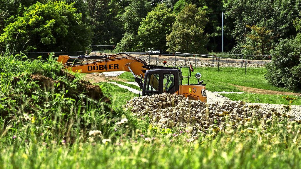 Stuttgart 21: Eidechsen sollen in  Kaltluftgebiet leben