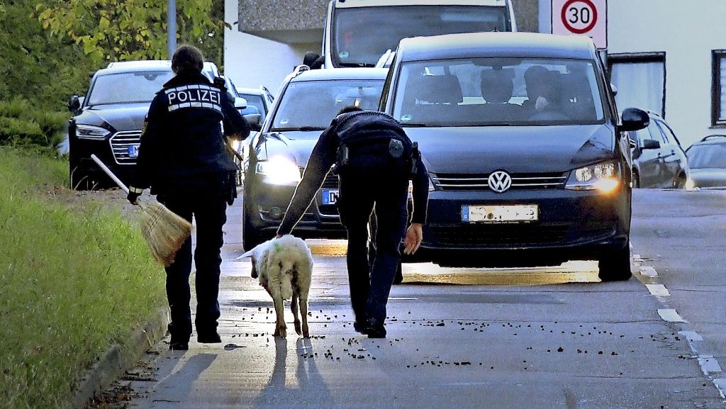 Polizeieinsatz in Stuttgart: Polizei schon wieder auf Schafe-Jagd