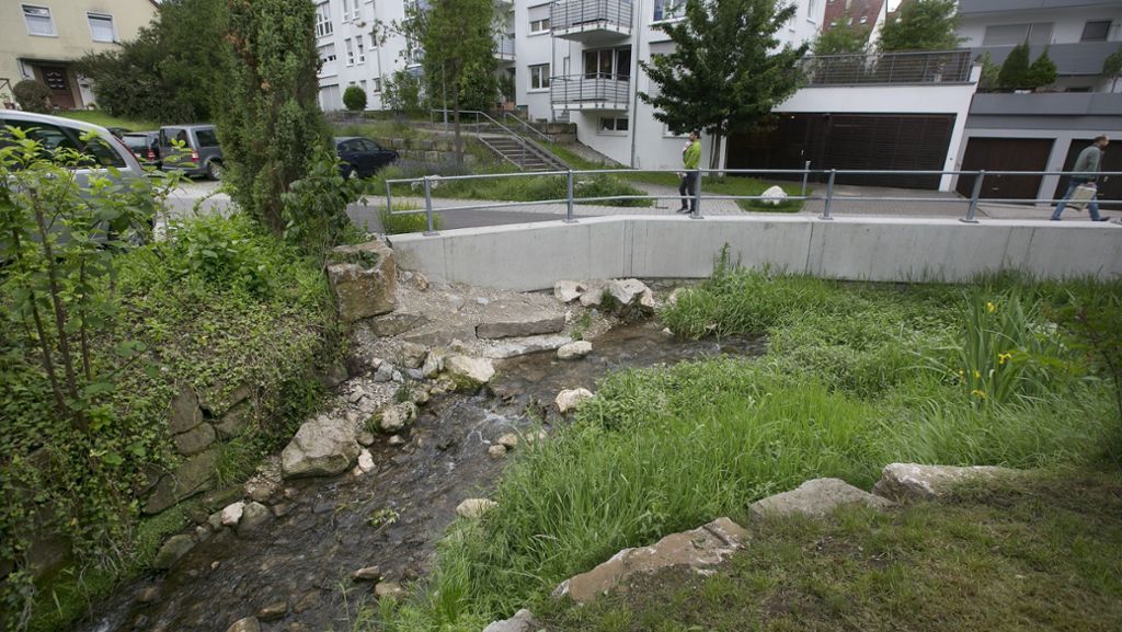 Esslingen will den Hainbach an 17 Stellen renaturieren: Das Kanalkind fließt   bald durch grüne Auen