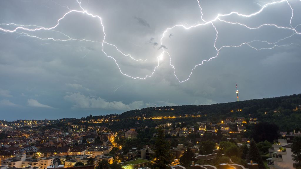 Unwetter in der Region Stuttgart: Buchen sollst du suchen? Das ist dran an Gewitter-Mythen