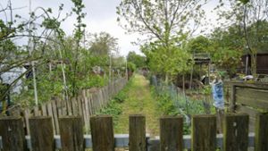 Urbanes Gärtnern in Ditzingen: Gartengrundstück dringend gesucht