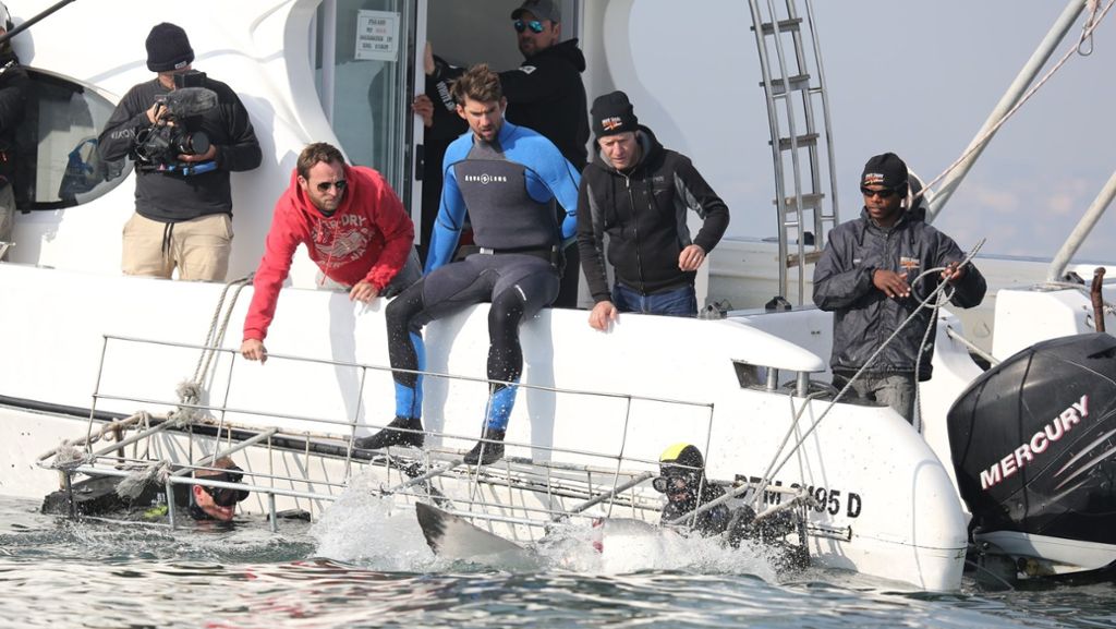 Ärger um gefaktes Wettschwimmen: Rennen von Phelps gegen Hai nur simuliert