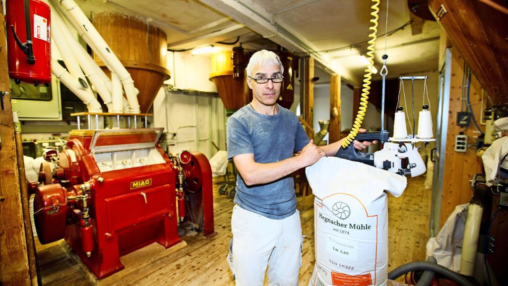 Mottenfund in Mehltüten: Mühle muss tonnenweise Mehl wegwerfen