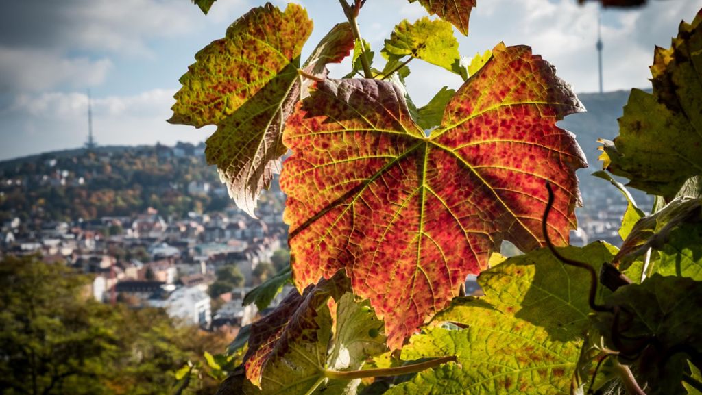 Herbst in Stuttgart: Tipps für sonnige Stunden im Oktober