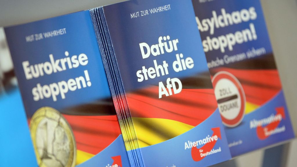 Bundestagswahl: AfD will Wahlbeobachter einsetzen