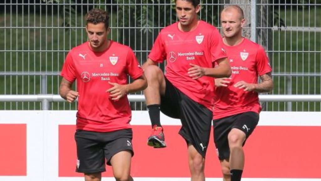 VfB-Coach Huub Stevens: Rausch und Sararer zum VfB Stuttgart II