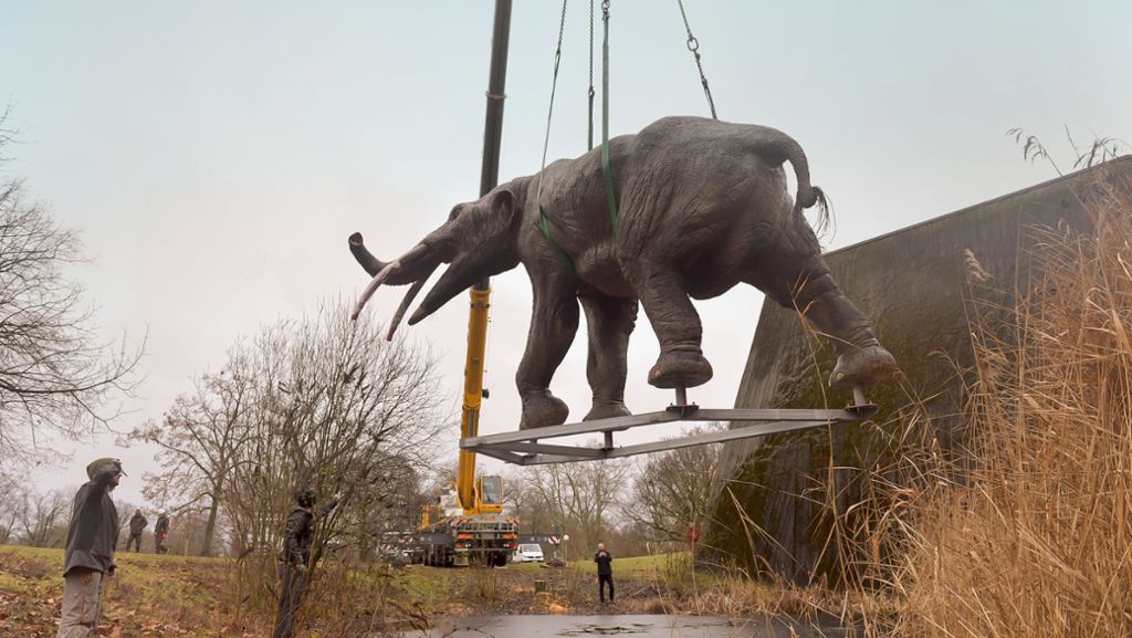 Museum am Löwentor in Stuttgart: Warum Urzeitelefanten durch die Luft fliegen