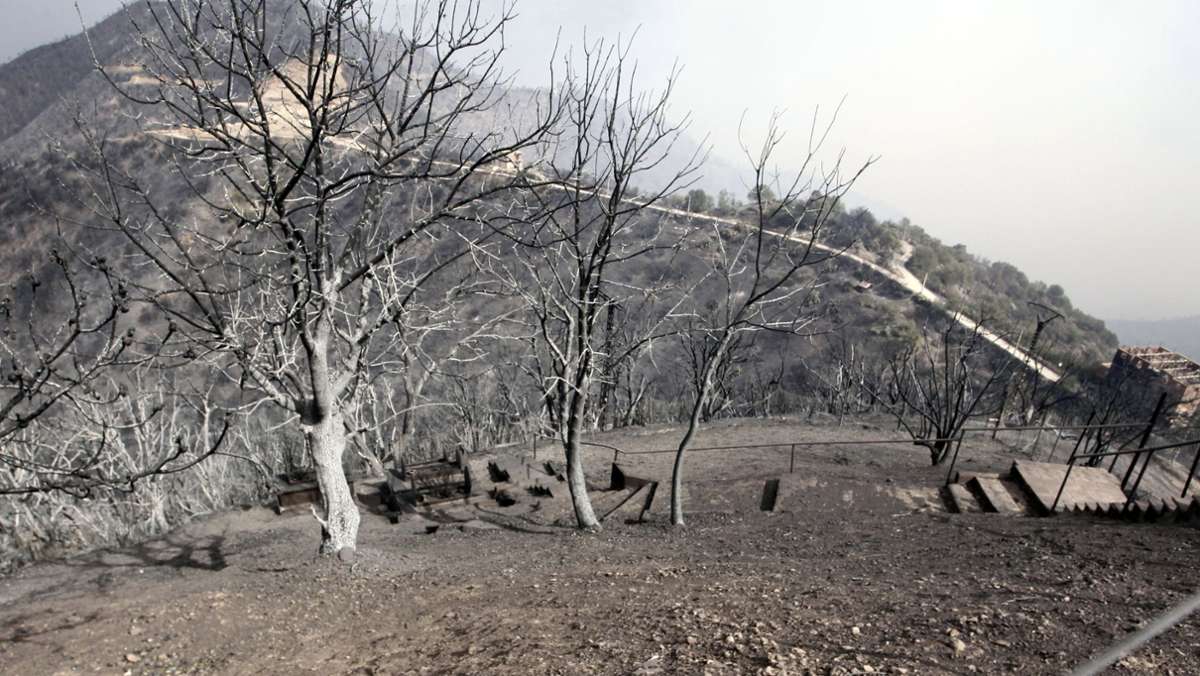 Waldbrände in Algerien: 32 Tote und mehr als 100 Feuer im Land