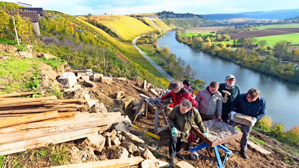 Steillagen im Landkreis Ludwigsburg: Mehr Geld für die Rettung der Steillagen
