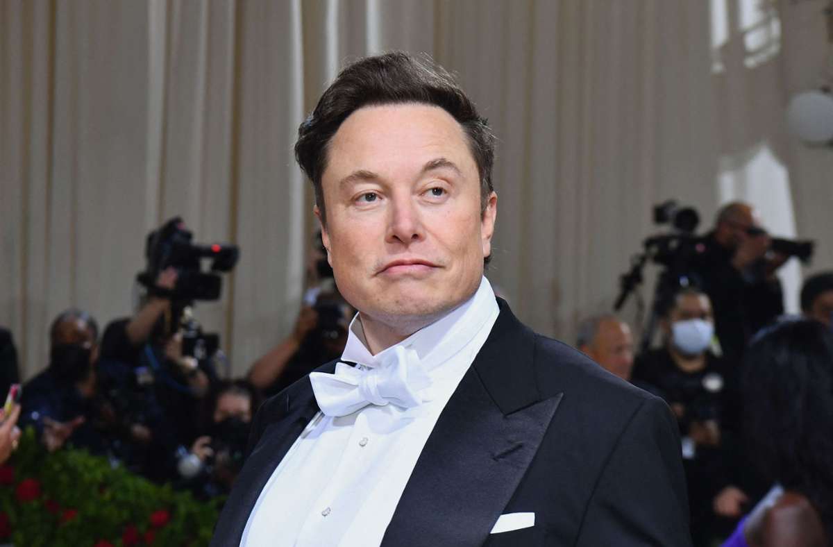 Elon Musk gerät mit der WHO aneinander. Foto: AFP/ANGELA WEISS
