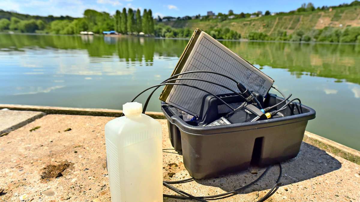 Blaualgen im Max-Eyth-See in Stuttgart: Wassertemperatur führt zu explosionsartiger Vermehrung