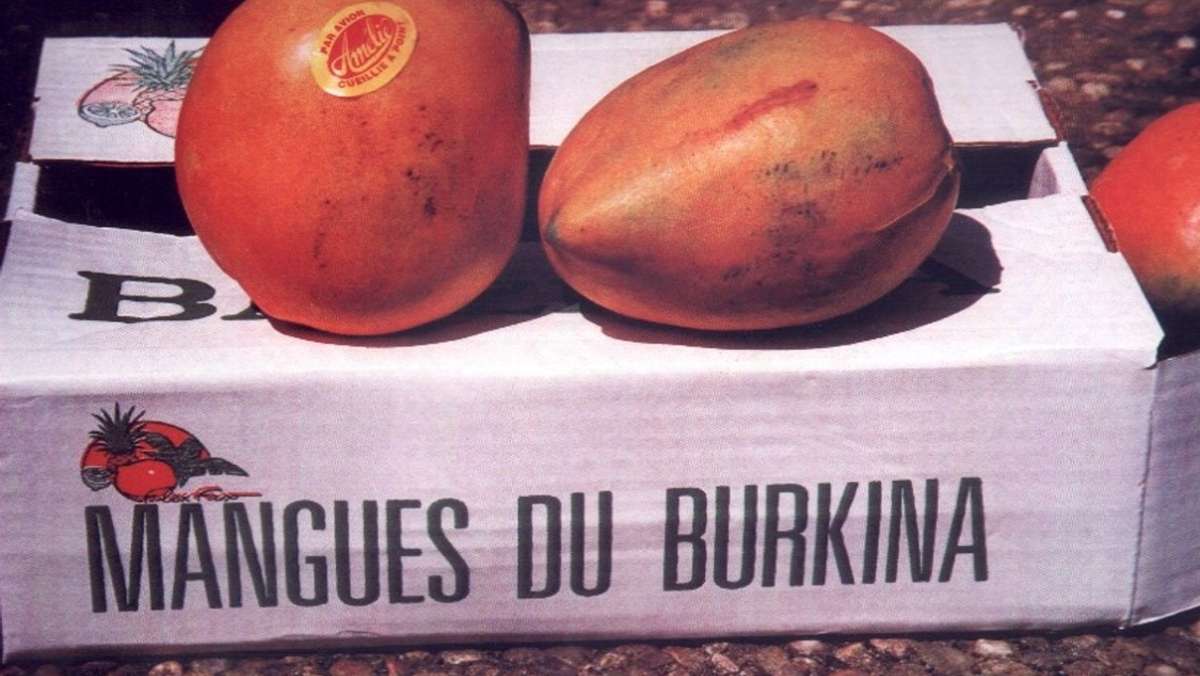  Trotz Pandemie gibt es auch dieses Jahr eine Unterstützeraktion. Mit dem Verkauf von Mangos aus dem afrikanischen Land wird der Bau von Schulen in Burkina Faso unterstützt, Lehrer werden bezahlt und Schulessen für Kinder vor Ort finanziert. 