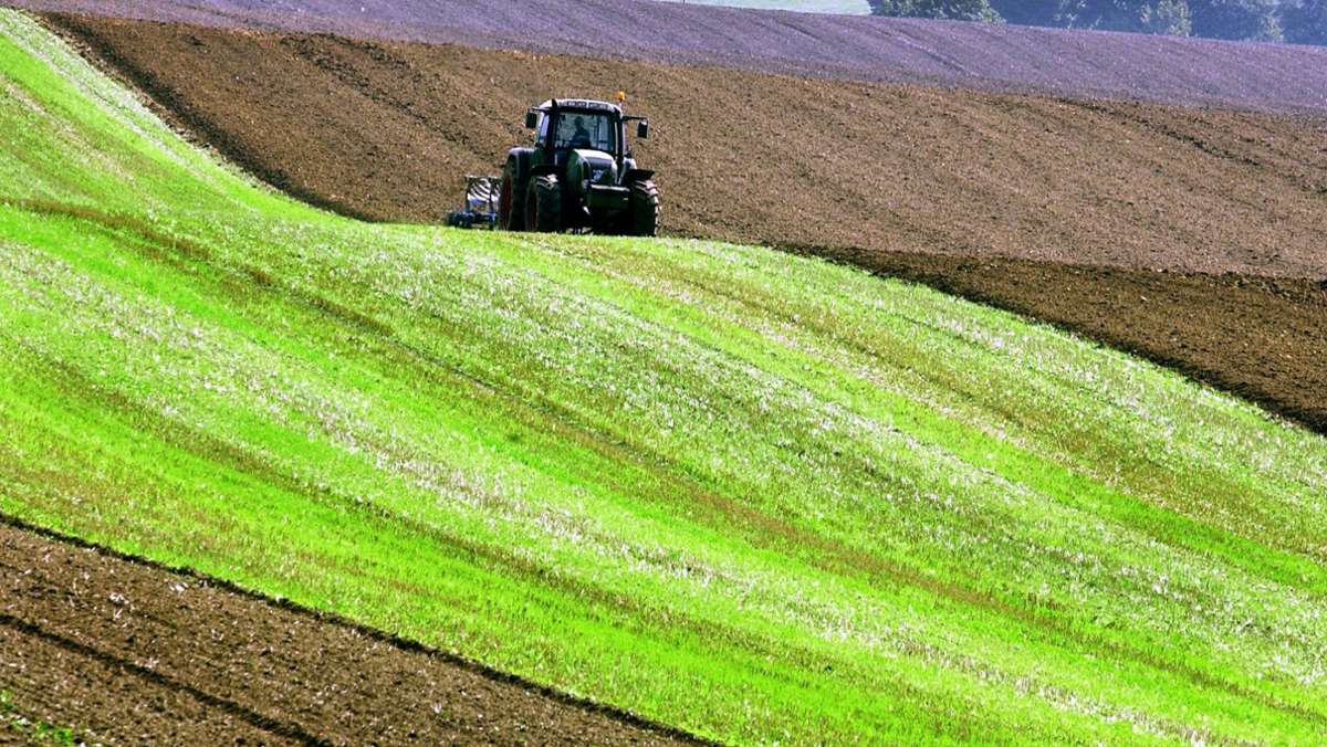  Die Europäische Union hat eine Agrarreform beschlossen. Mit ihr verfehlt sie allerdings wieder einmal die eigenen Ziele, kommentiert unser Brüssel-Korrespondent Knut Krohn. 