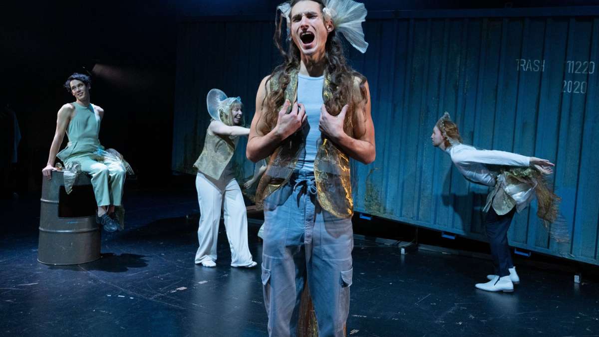 „Mermaid Cut“ im Theater Nord: Die queere Seejungfrau