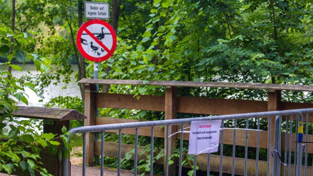 Krokodilalarm in Kirchheim/Teck: Entwarnung: Badeverbot aufgehoben
