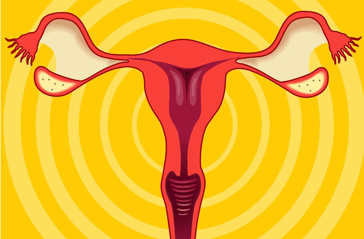 Manche Frauen entscheiden sich bewusst für eine Sterilisation als Verhütungsmethode. Foto: imago images / Panthermedia/vksdesigns
