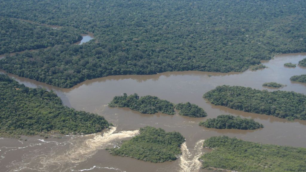 Amazonas: Der Kampf gegen Bolsonaros Kahlschlag