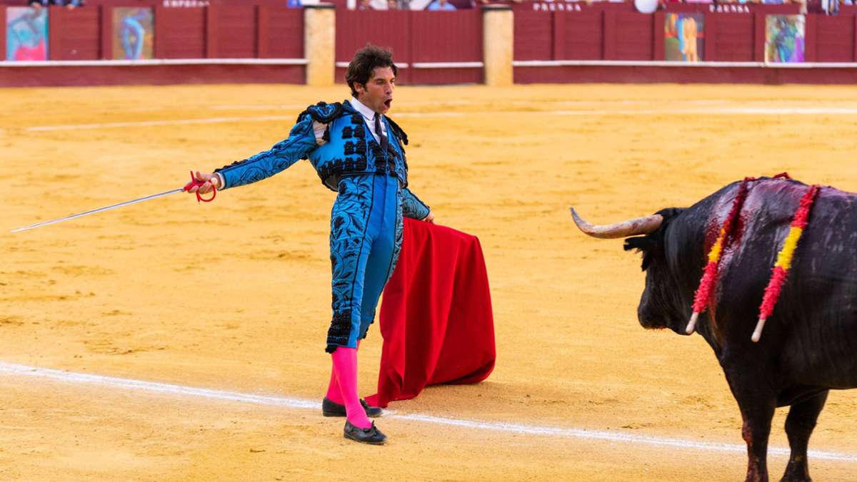 Niederlage vor Gericht: Stadt auf Mallorca darf Stierkampf nicht verbieten