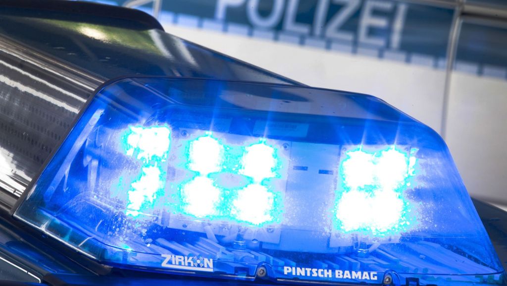 Vorfall in S-Bahn in Bad Cannstatt: 25-Jähriger randaliert und will Frau Handtasche entreißen