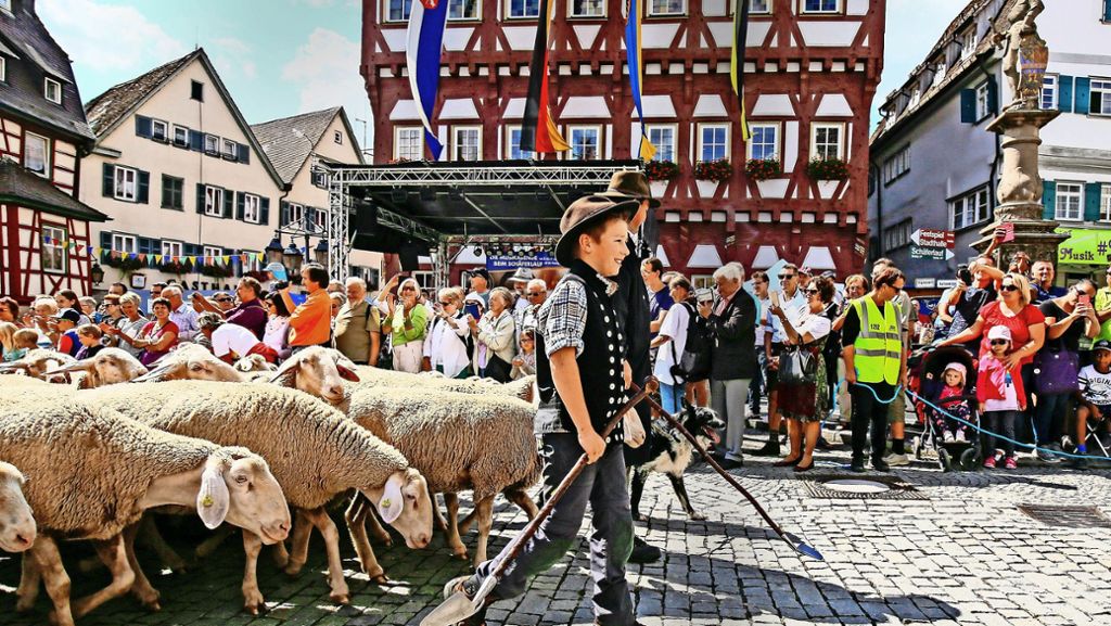 Traditionsfest in Markgröningen: Altbewährtes und mehr Service beim Schäferlauf
