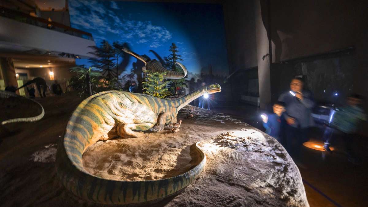 Nachts im Löwentormuseum: Mit Taschenlampen in die Trias