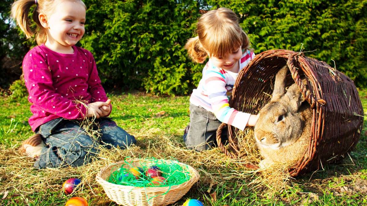 Osterzeit in  Stuttgart: Auf den Spuren von Hasen und  Kaninchen