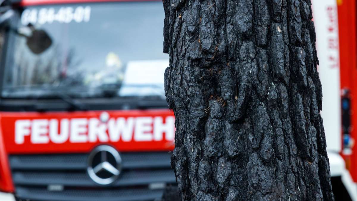  Am Dienstagvormittag hat in Beuren (Kreis Esslingen) ein Auto gebrannt. Die Feuerwehr rückte mit drei Fahrzeugen an. 