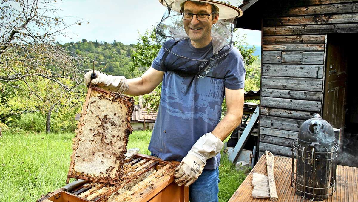  Selbst erfahrene Imker wie Armin Glock aus Stuttgart-Rohracker können sich nicht an ein solches Jahr erinnern. Den Bienen war es zu nass und zu kalt, viele wären ohne die Hilfe des Menschen verhungert. Honig gibt es deshalb nur wenig. 