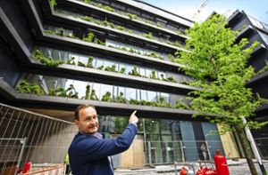 Neuheit für Stuttgart – 11 000 Pflanzen begrünen die Fassade