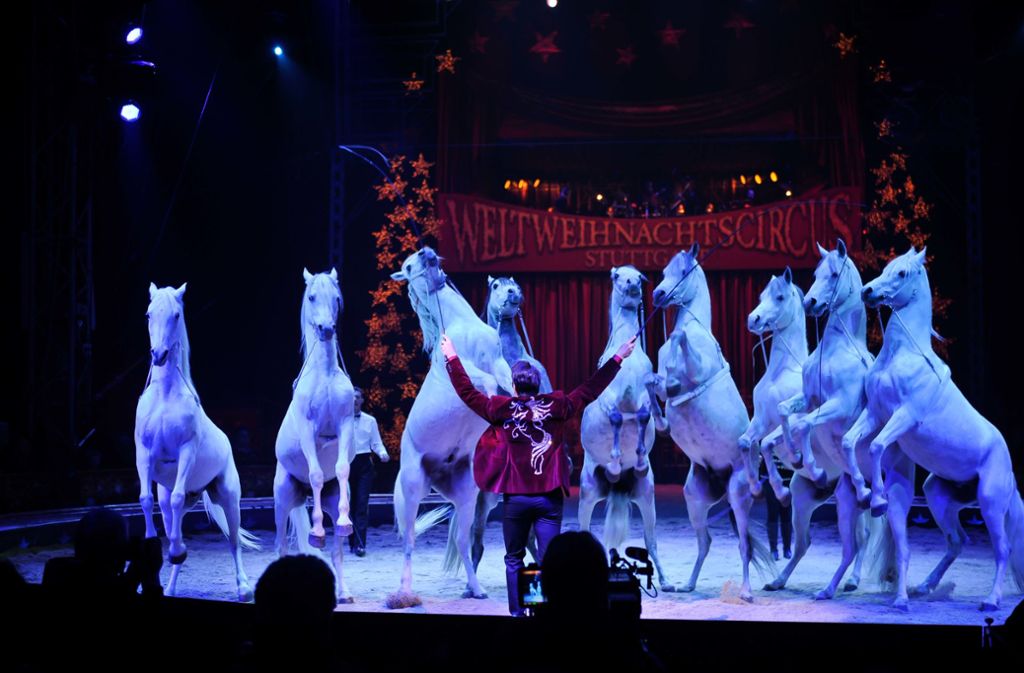 45 Pferde wirken in der neuen Show des Weltweihnachtscircus mit. Foto: Lichtgut/Max Kovalenko