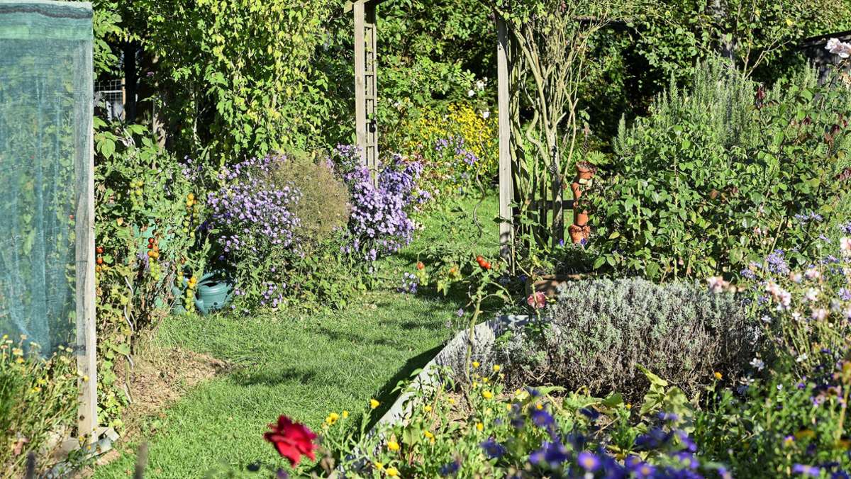 Tipps für lebendige Gärten: Ein Garten wie ein kleiner Zauberwald
