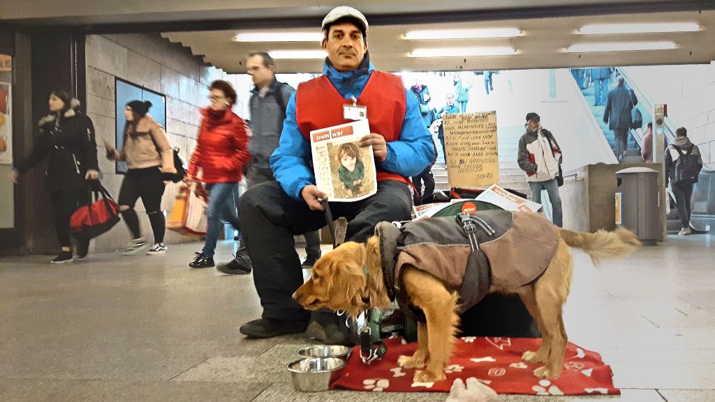 Obdachlose in Stuttgart: Hunde  in  Winternotquartieren nicht geduldet