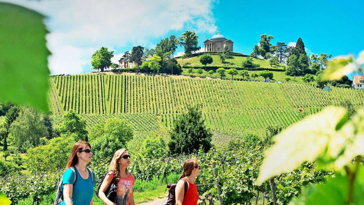 Das Weinwunder von Württemberg: Die ganze Welt trinkt Württemberger – inzwischen