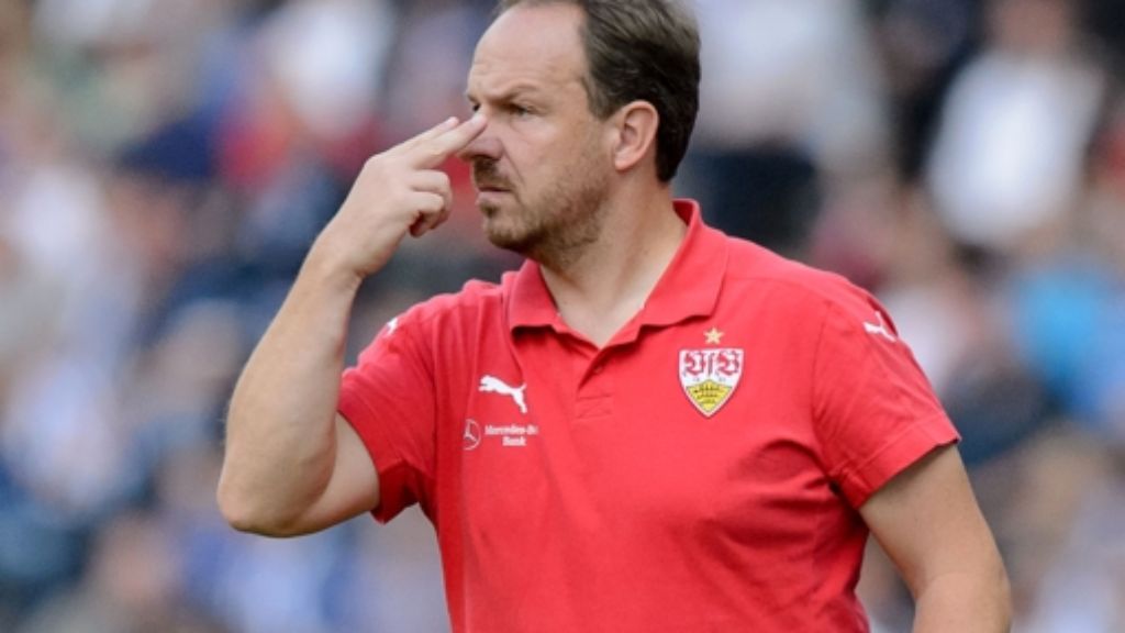 Zitate von Ex-VfB-Coach Alexander Zorniger: „Ich habe der Frau Stevens Blumen mitgebracht“