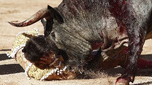 Torero bei Stierkampf in Spanien getötet