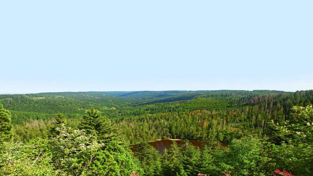  Das Land will zehn Prozent des Staatswalds aus der Bewirtschaftung nehmen. Es geht schleppend voran, doch im Forstbezirk Tauberfranken ist das Ziel nun erstmals erreicht worden. 