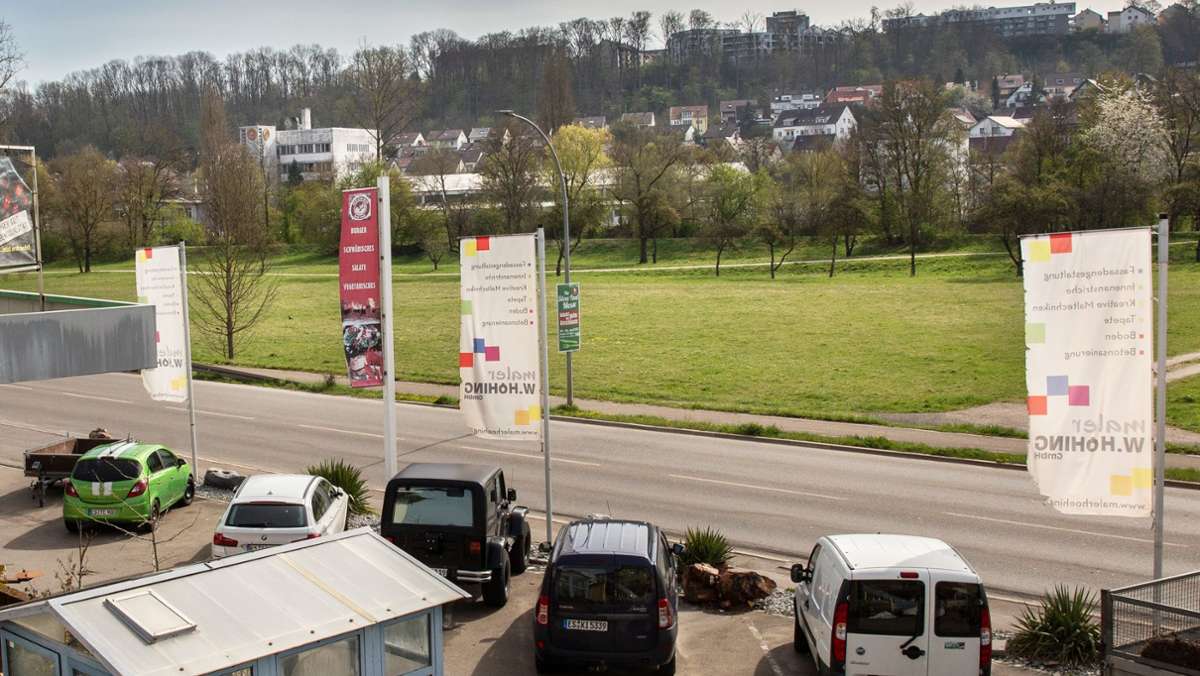Wernau: Mögliches Gewerbegebiet löst  nur  „leisen“ Unmut aus