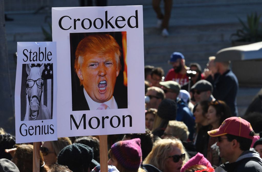 Die Proteste richteten sich mehrheitlich gegen den Präsidenten und die Politik der US-Regierung im Bezug auf Einwanderung, Abtreibungen und die Rechte von Schwulen, Lesben und Transgendern.