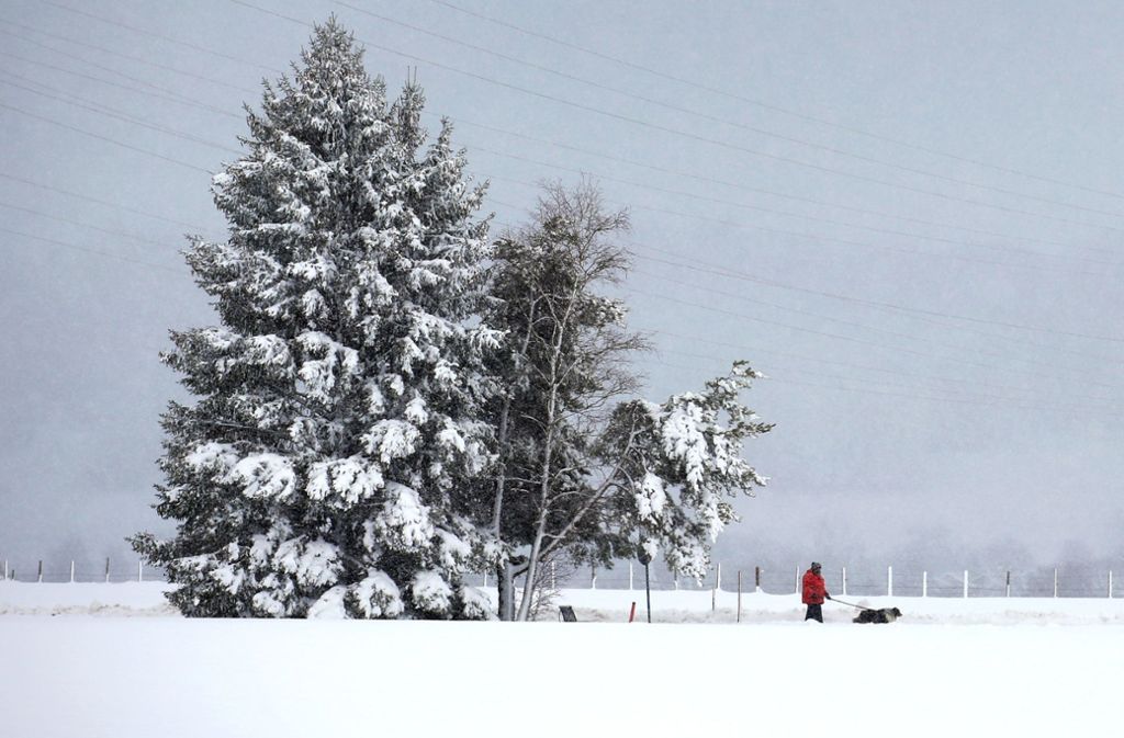 Das Forstministerium warnte vor Bäumen, die unter der Last des oftmals nassen Schnees jederzeit umkippen oder abbrechen können.