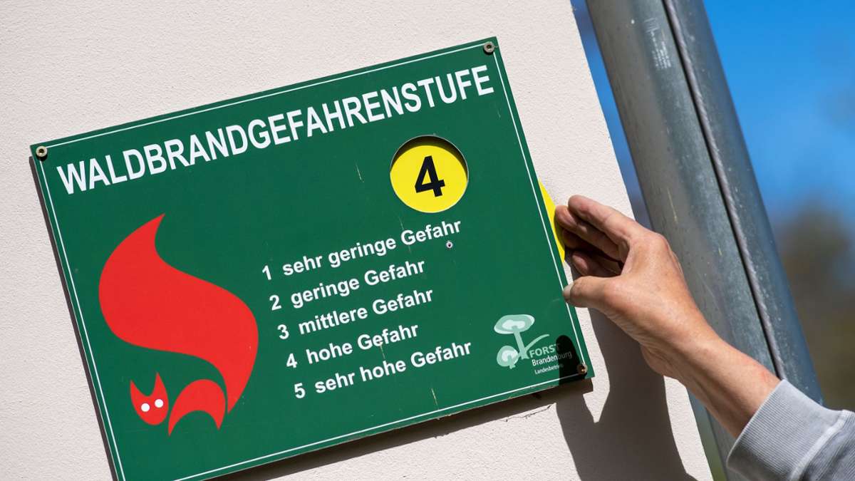 In Teilen Baden-Württembergs: DWD warnt: Waldbrandgefahr steigt auf zweithöchste Stufe