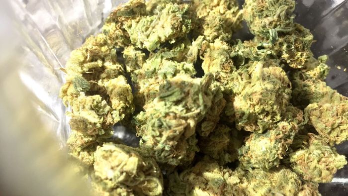 Mann schmuggelte 450 Kilogramm Marihuana – Freispruch