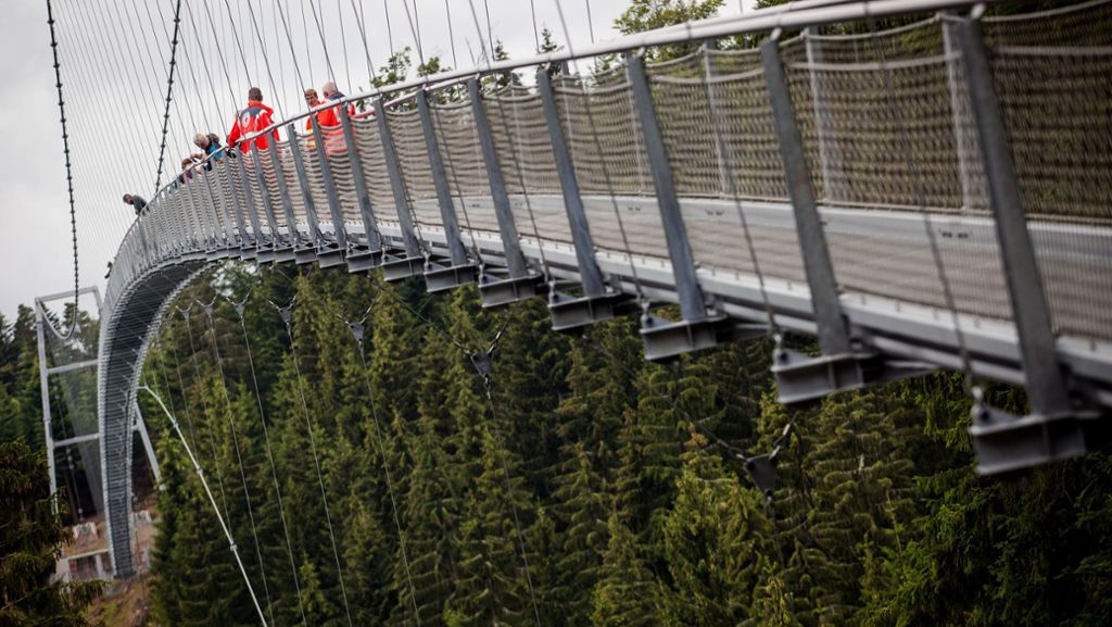 Schwarzwald: Diese neue Brücke ist nichts für schwache Nerven