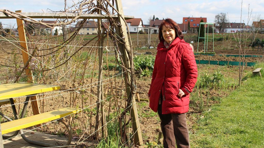 Interkultureller Garten in Filderstadt-Sielmingen: Im Grünen entstehen Freundschaften