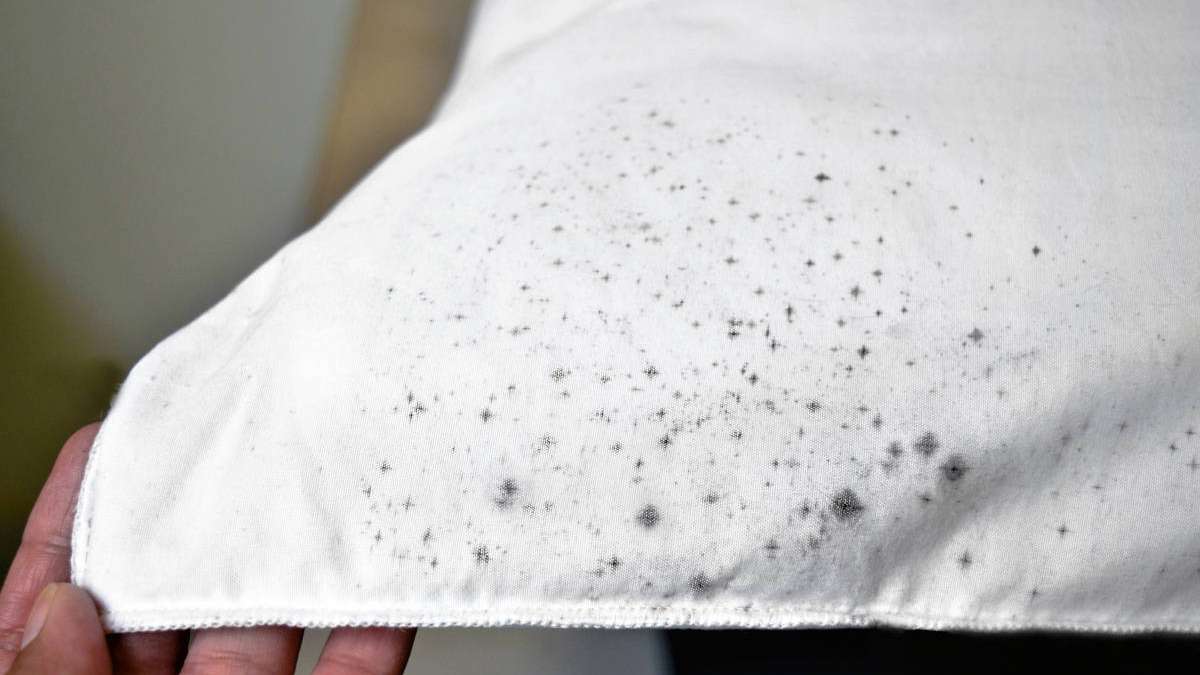10 Tipps, wie Sie schnell und einfach Schimmelflecken aus Stoff und Textilien entfernen.