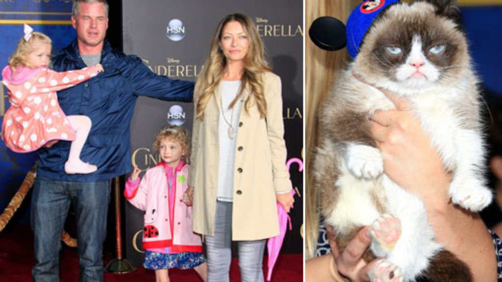 Cinderella-Premiere in LA: Grumpy Cat - immun gegen gute Laune