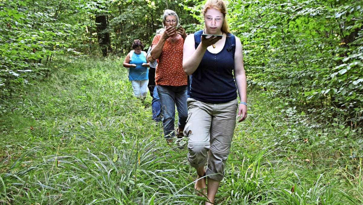 Wellness-Trend Waldbaden: Auszeit im Wald